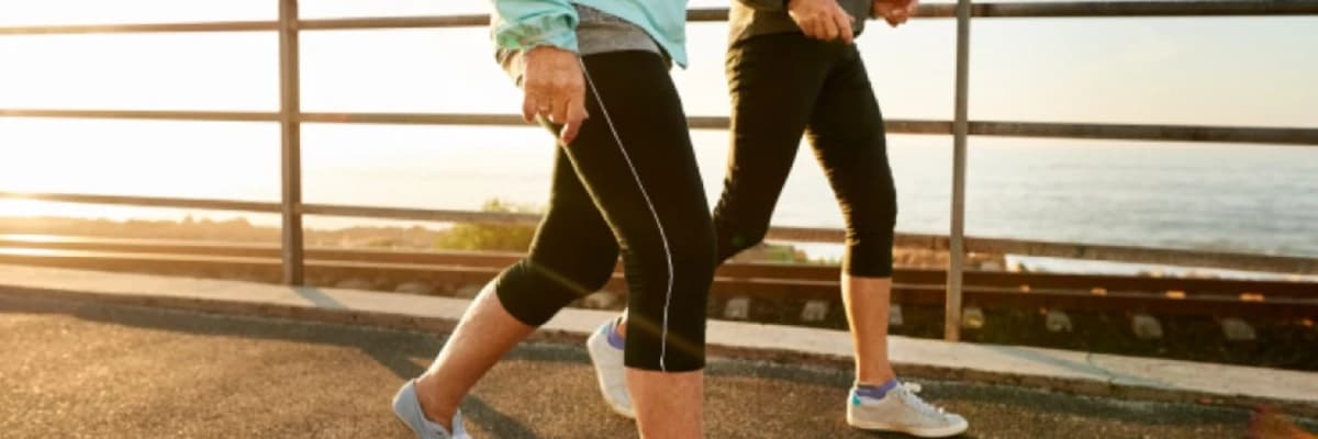 İyisiyle Kötüsüyle Kolesterol