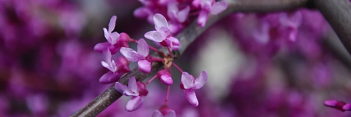 Mindfulness alıştırmalarına başlarken dikkat edilecek noktalar