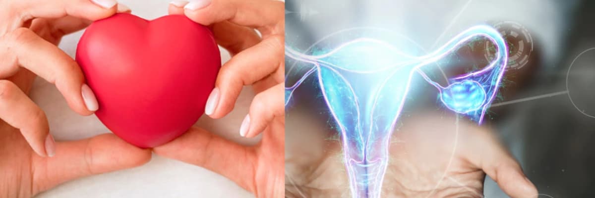 Kadın Hastalıkları