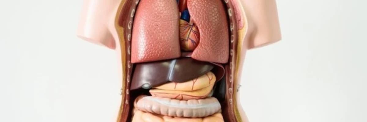 YAZ AYLARINDA KUSMA İSHAL