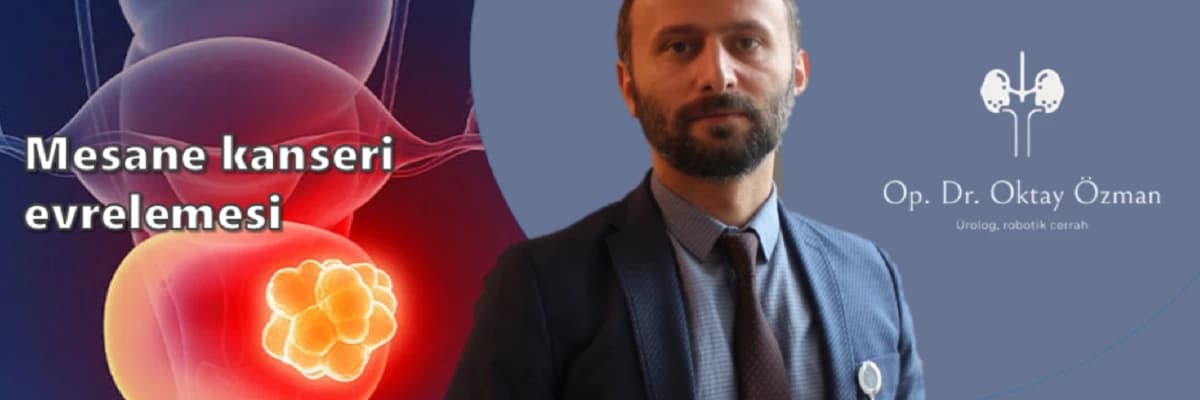 Mesane kanseri evrelemesi