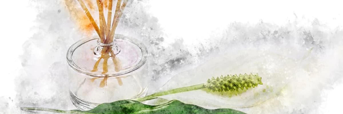 SPELEOTERAPİ (speleon - mağara, terapi - tedavi, mağara tedavisi) mağara mikro klimasının (özel iklim şartlarının) tedavi ve rehabilitasyonda kullanılmasıdır.  Bu maksatla en yaygın kullanılan mikro klimalar, daha önceden tuz madeni olarak çalıştırılan ma