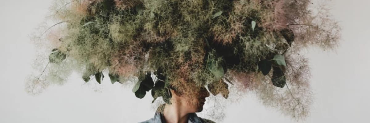 Kontrolcü Kimlikler