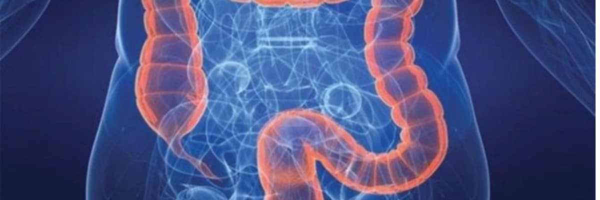 KOLON KANSERİ TARAMASI