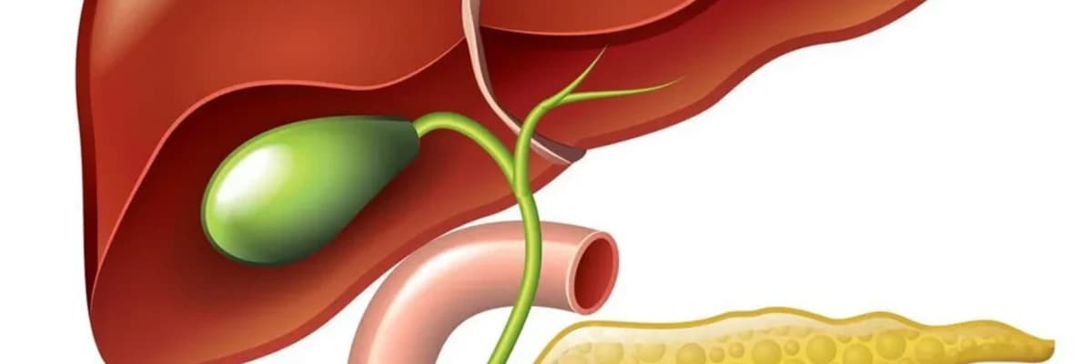 ERCP nedir? ERCP nasıl yapılır? ERCP kimlere yapılır? ERCP'nin komplikasyonları nelerdir?