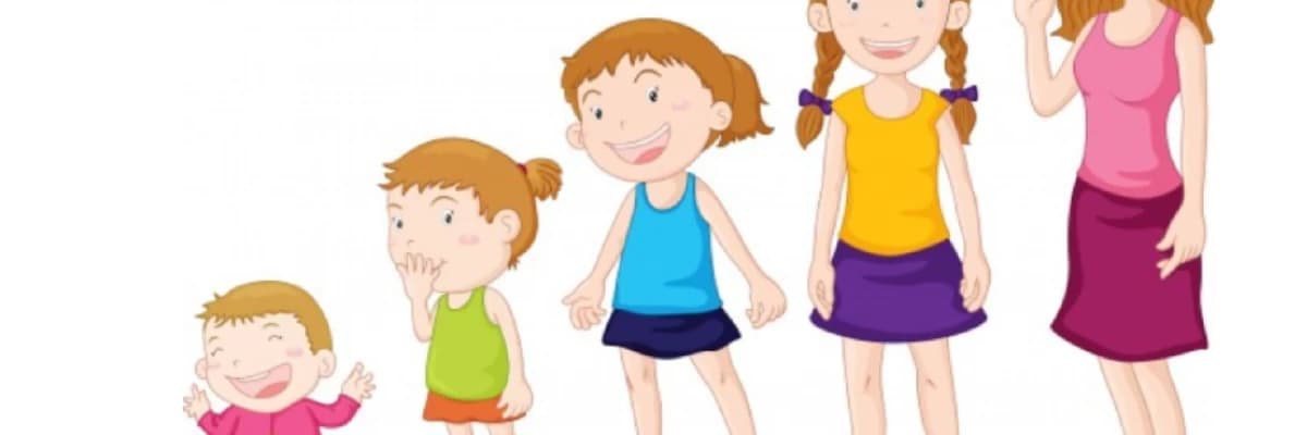 Psikoseksüel Gelişim Evreleri