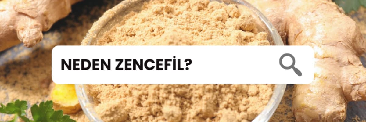 NEDEN ZENCEFİL ?