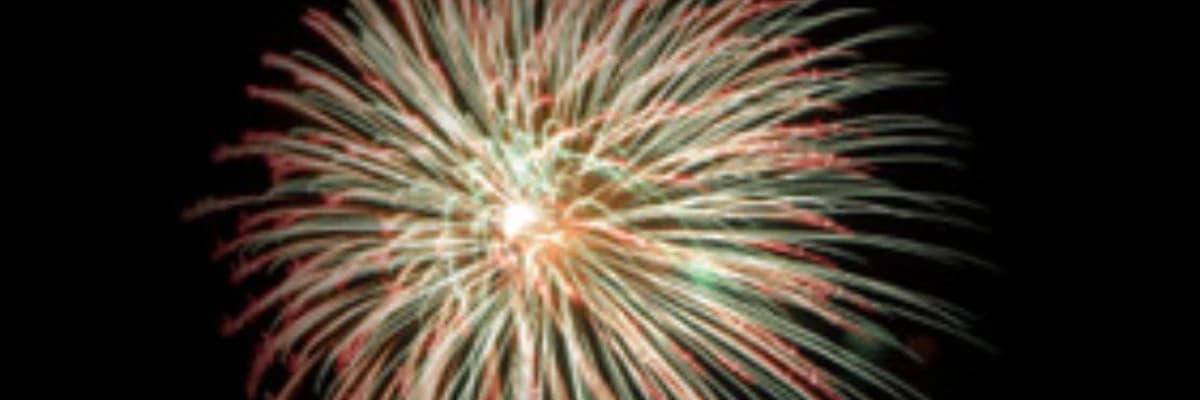 Aşk ve Saldırganlığın Ayrılmaz Doğası- Otto Kernberg