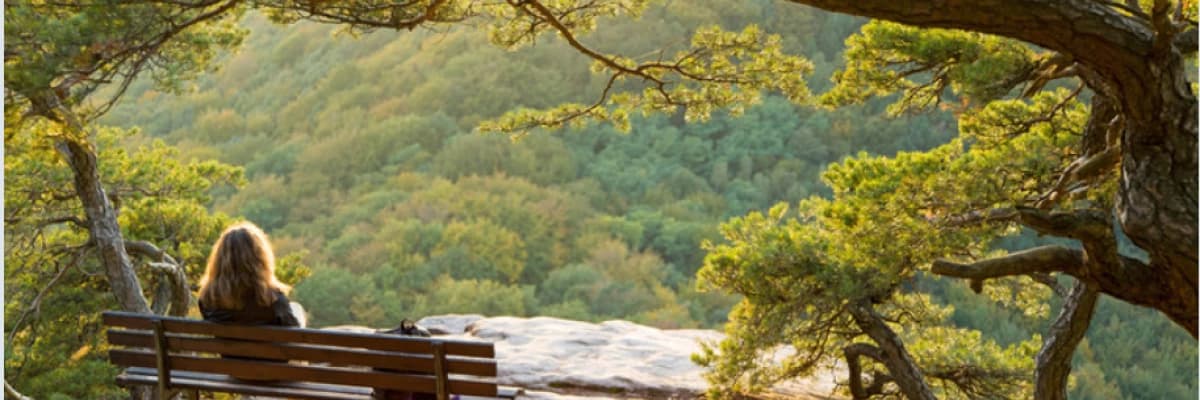 Yalnız Kalma Korkusu: Monofobi