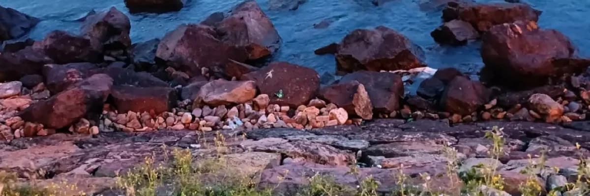 Ailede Zorba Uyum Yerine Empatik Eşlikçilik