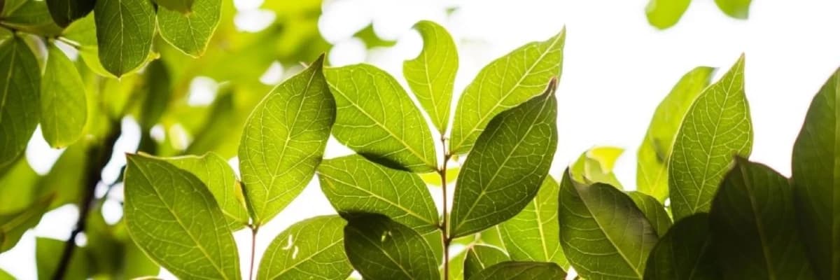 YETERSİZLİK HİSSİ, GERÇEKTEN YETERSİZ MİSİNİZ?