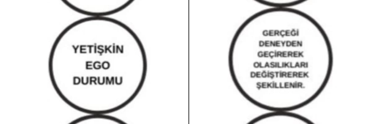 TRANSAKSİYONEL ANALİZ ÇERÇEVESİNDE  EBEVEYN TUTUMLARININ ÇOCUKLARA ETKİSİ