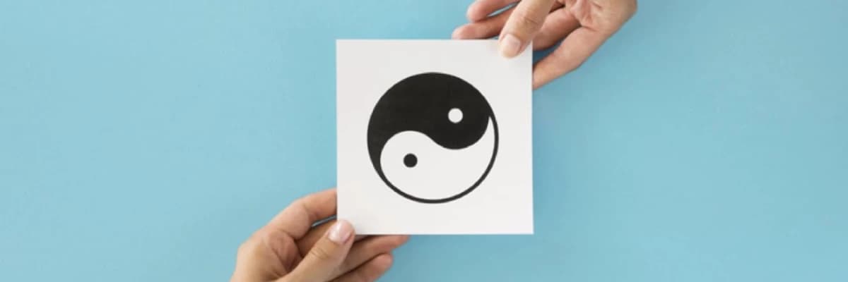 Savunma Mekanizmaları Bölme (Splitting)