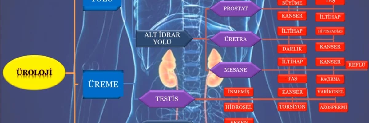 ÜROLOJİ NEDİR