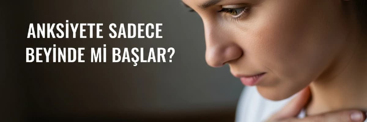 Anksiyete Sadece Beyinde mi Başlar?