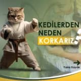 🐈Kedilerden Neden Korkarız?