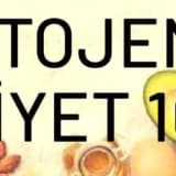 Ketojenik Diyet Nedir? Nasıl Yapılır?