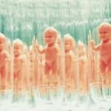 TÜP BEBEK HAZIRLIK ve DESTEK PROGRAMI (HypnoBirthing Fertility Support Program)