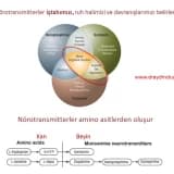 Kilo kontrolünde irade savaşına ve yo-yo etkisine son verin!