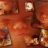 Fetal gelişim, Üçüncü Trimestir ( Son Üç Ay)