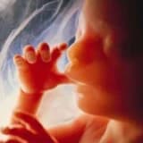 Kimlere Tüp bebek (IVF) yapılmaktadır ?