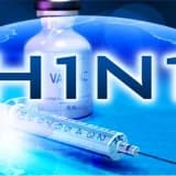 H1n1 virüsü (domuz gribi)
