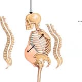Osteoporoz ve Beslenme