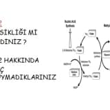 B12 Eksikliği mi Dediniz? B12 Hakkında Hiç Duymadıklarınız!