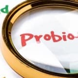 Probiyotikler: Sağlıklı Yaşam İçin Yararlı Dost Bakteriler