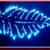 Biorezonans ve Alerji Tedavisi