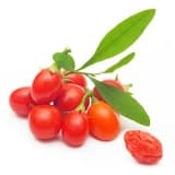 Gerçekten sadece "goji berry" mi?
