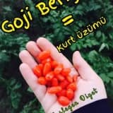Goji berry zayıflatıyor mu?