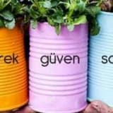 SEVGİ VE GÜVEN
