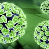 HPV (Human Papilloma Virüsü) aşılarında ne değişti?