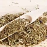 MATE ÇAYI VE VÜCUDA ETKİLERİ