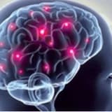 Epilepsi Tanımı ve Eeg Çekimi