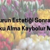 Burun Estetiği Ameliyatı Sonrası Koku Alma Kaybolur Mu?