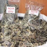 Zayıflamak için açlık otu(deve gözü) kullanmak bir çeşit intihardır!