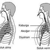 Diyafragma Tümörleri ve Cerrahisi