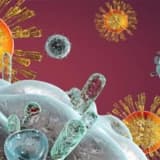 HIV Pozitiflilere Tüp Bebek Yapılabilir Mi?