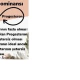 Östrajen Dominansı