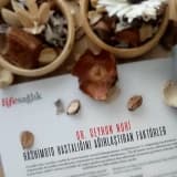 Hashimoto Hastalığını Ağırlaştıran Faktörler