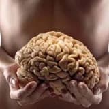 SAĞLIKLI ZAYIFLAMA, GAPS DİYETİ SİBO DİYETİ, CANDİDA DİYETİ ve DETOKS YAPILMASI GEREKLİLİĞİ