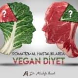VEGAN DİYET DOĞRU MU ?