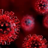 Covid 19 enfeksiyonunda ve sonrasında pulmoner (akciğer hastalıklarının) rehabilitasyonu