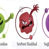 Antioksidan Nedir Ne İşe Yarar?