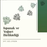 ISPANAK VE YOĞURT BİRLİKTE YENİR Mİ?