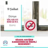 Sigara Akciğer Kanserinin En Önemli Nedenidir
