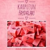 Karpuzun Faydaları Nelerdir?
