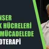 KANSER KÖK HÜCRELERİ İLE MÜCADELEDE FİTOTERAPİ